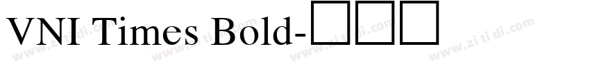 VNI Times Bold字体转换